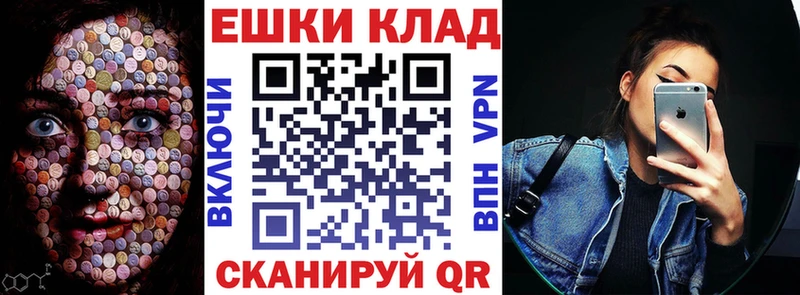 ЭКСТАЗИ Philipp Plein  сколько стоит  Ростов-на-Дону 