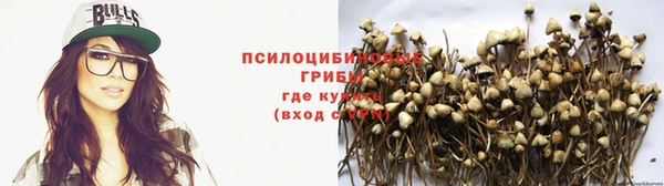 хмурый Абдулино