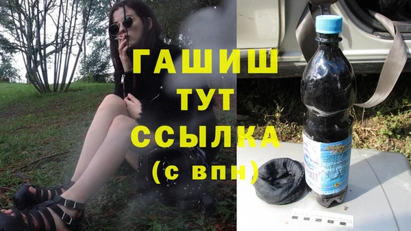 стаф Абаза
