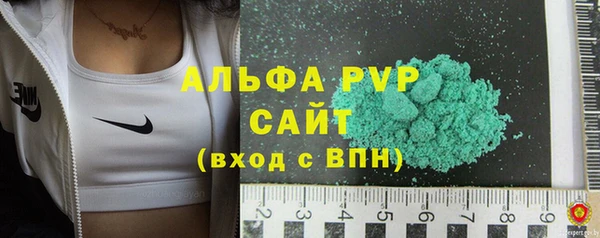 стаф Абаза
